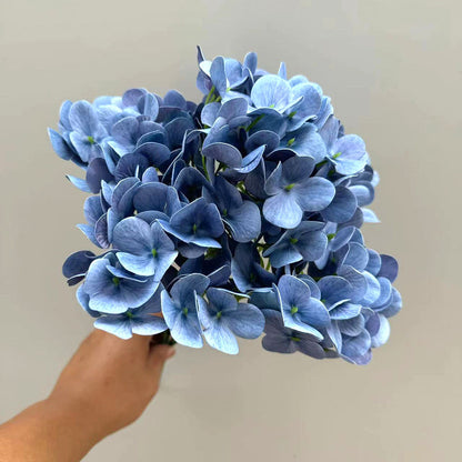 Bunga 3D SEMIHYDRA Semi Latek Hydrangea HORTENSIA 44CM Bulat Jumbo 5 Cabang Premium